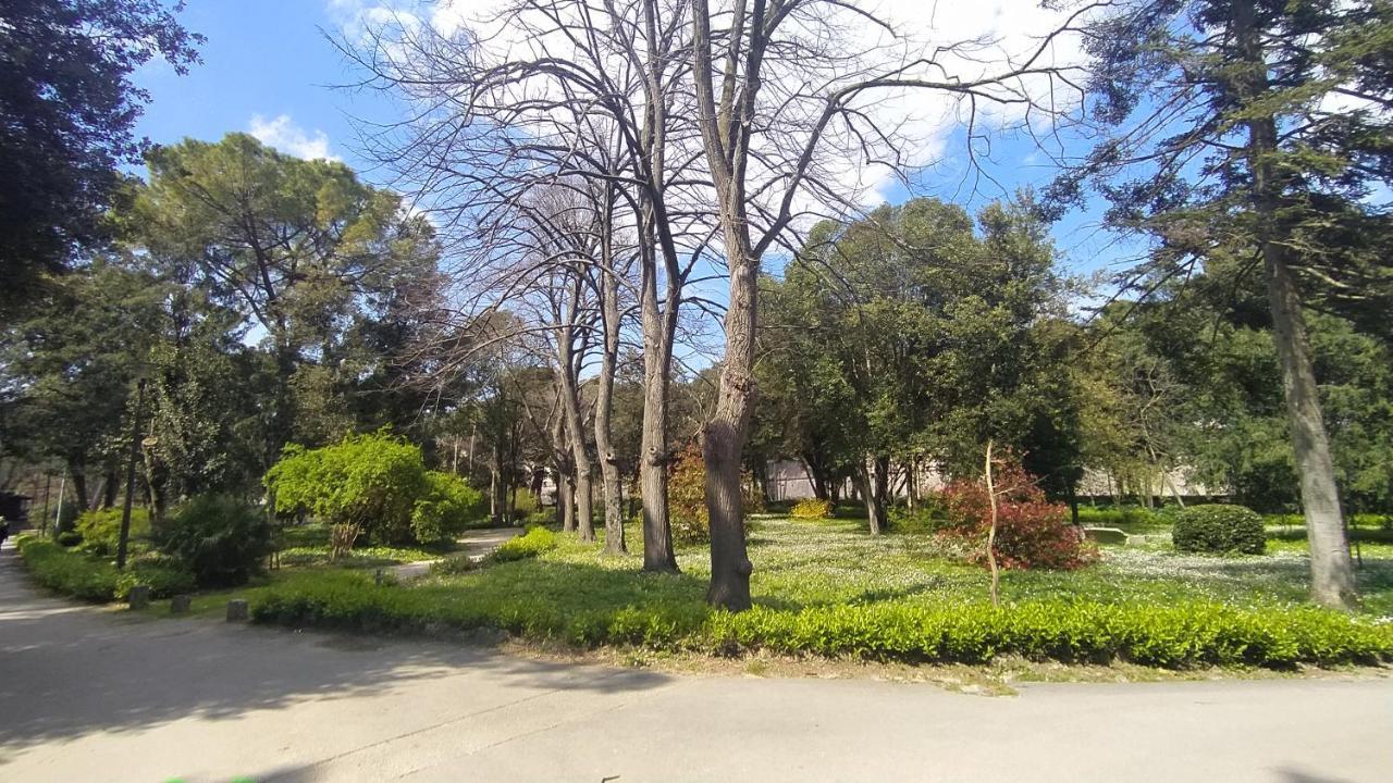 Apartment Antique Zadar - City Center ภายนอก รูปภาพ